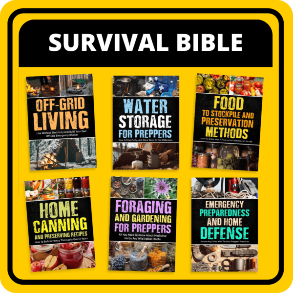 The Lost Survival Bible Bundle